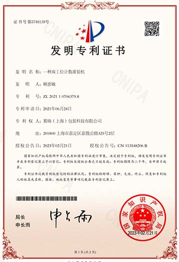 Lugsicher patent 1