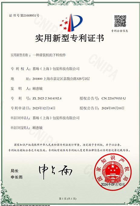 Lugsicher patent 12