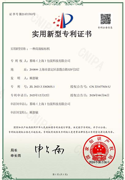 Lugsicher patent 13