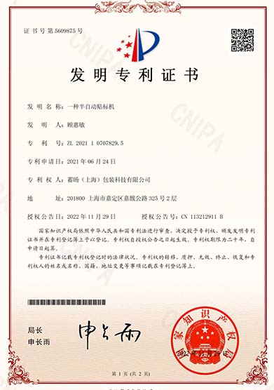 Lugsicher patent 15