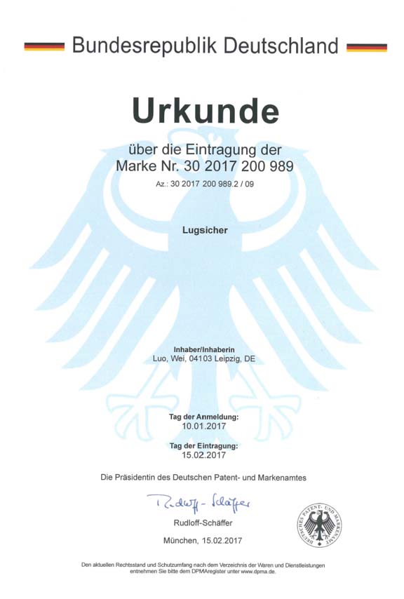 Lugsicher patent 2
