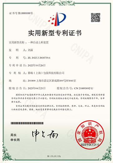 Lugsicher patent 6