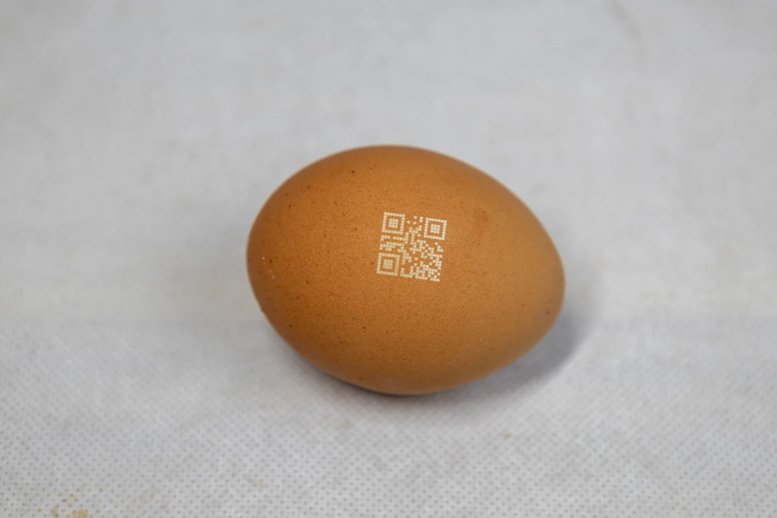 QR code test pattern laser marked directly on a brown eggshell
