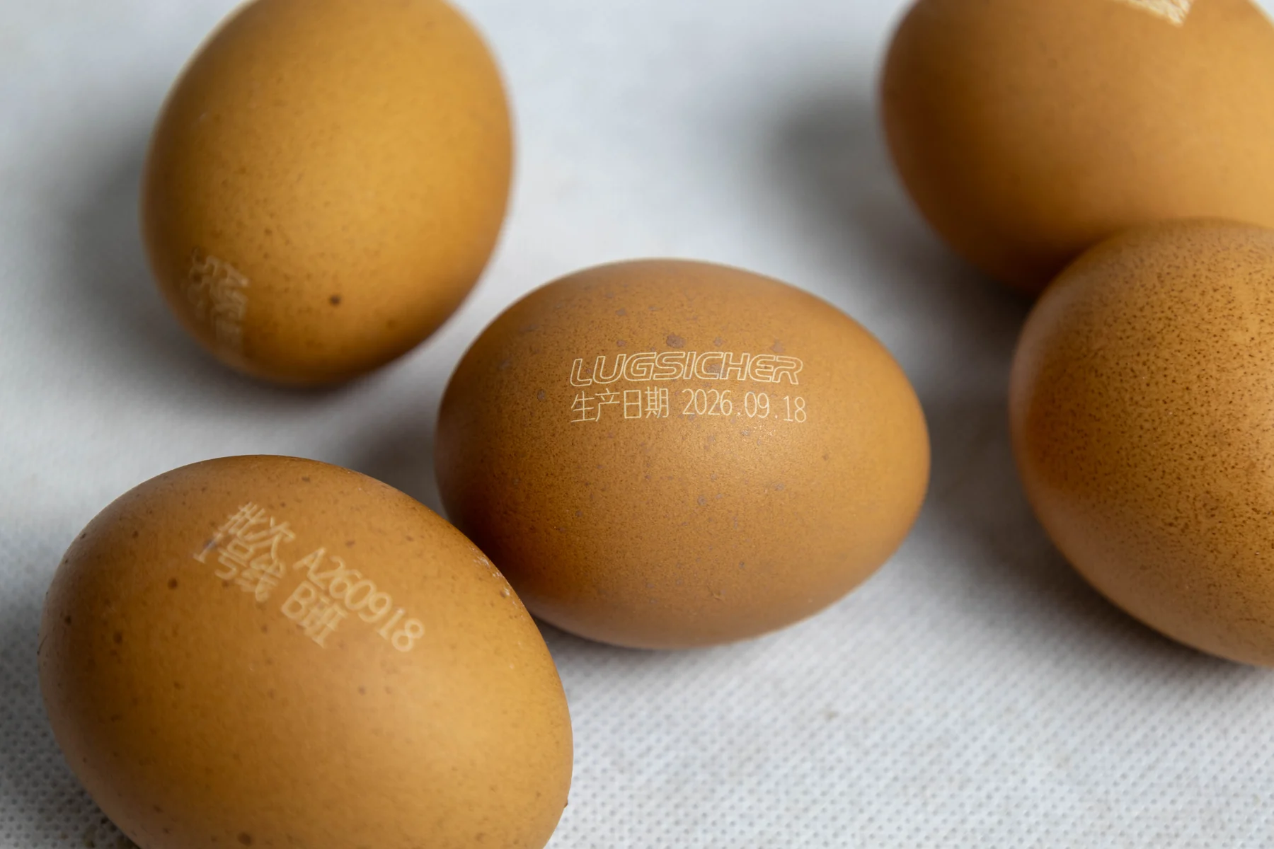 Group of brown eggs with laser-marked dates and batch identifiers